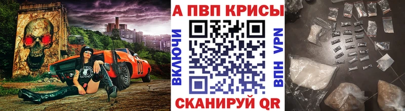 A PVP СК КРИС  Спасск-Дальний 
