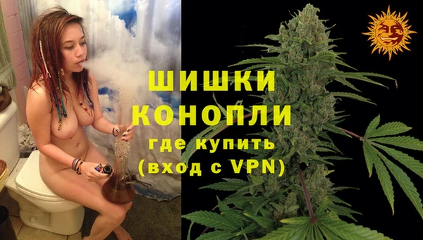 PSILOCYBIN Балахна