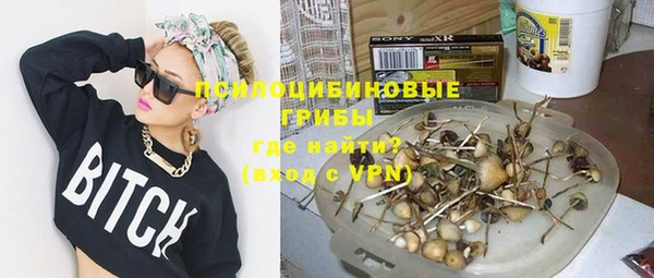 PSILOCYBIN Балахна