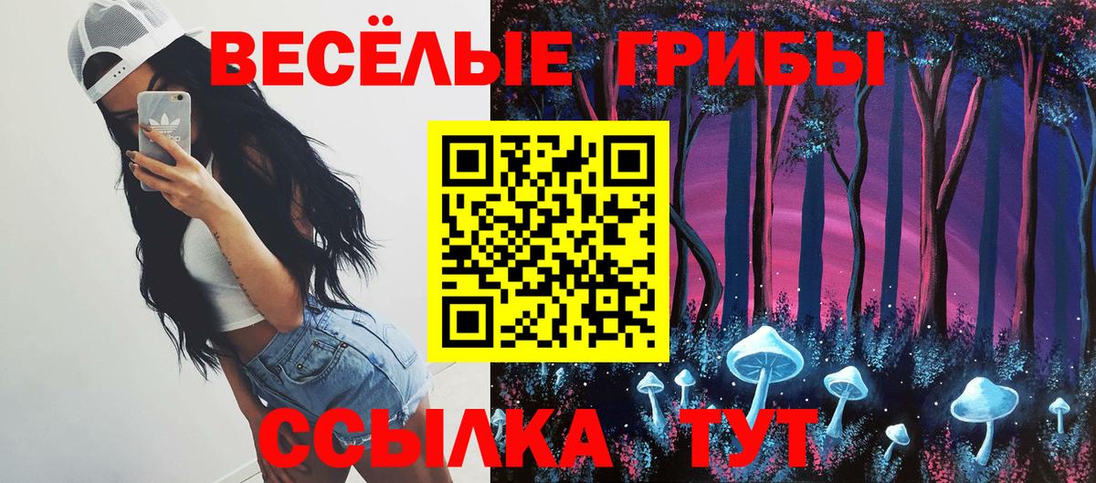Спасск-Дальний  купить наркоту  Вход с VPN  Псилоцибиновые грибы Magic Shrooms 